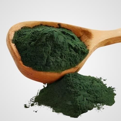 medicinal products-algae powder
